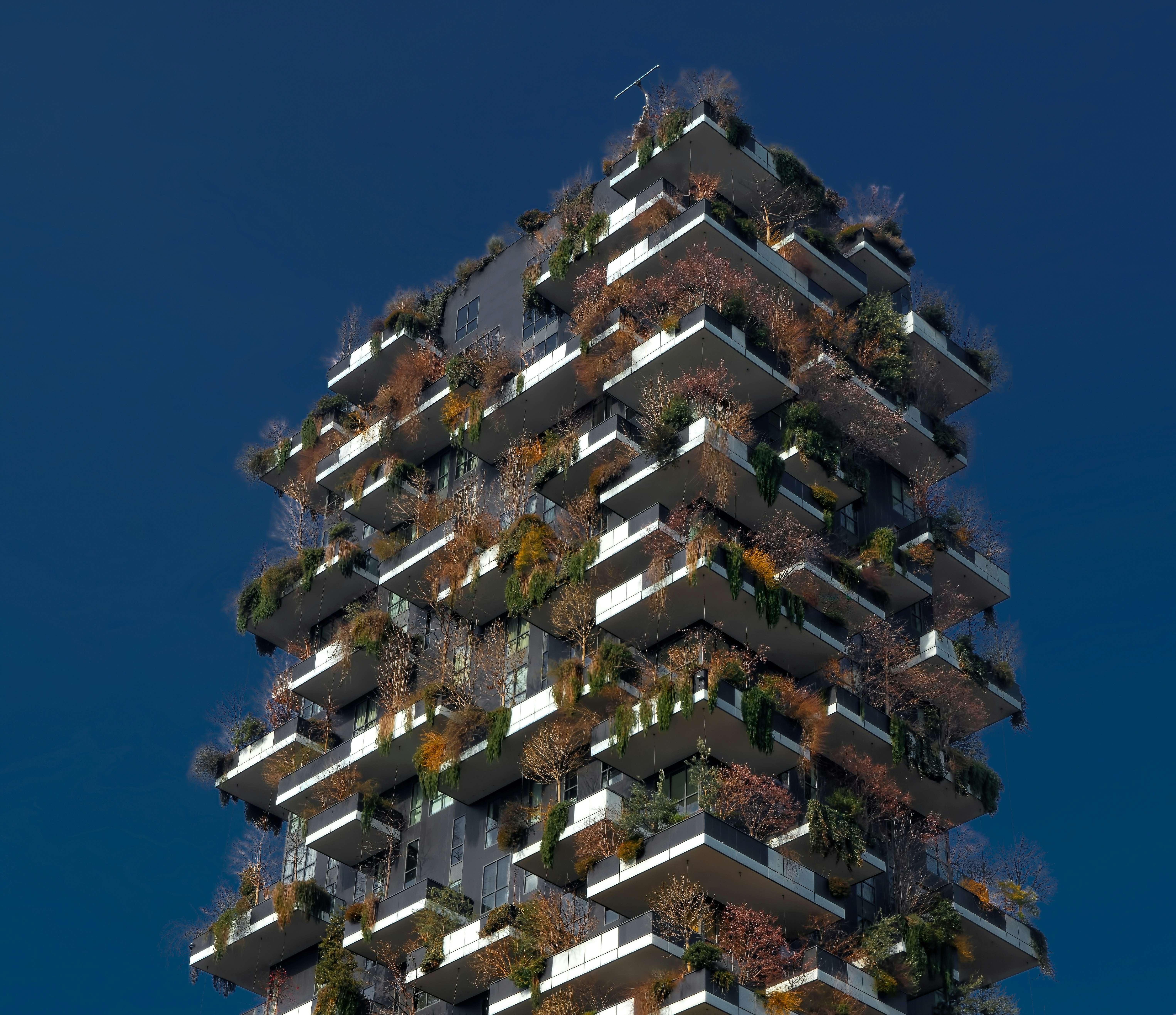 brown and white concrete building under blue sky during daytime